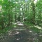"WALL DOXEY TRAIL WALK DVD" great for treadmill, End boring exercise