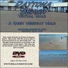 VIRTUAL WALK On DAYTONA BEACH, Great for use with Exercise equipment, DVD