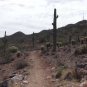 ARIZONA MOUNTAIN VIRTUAL HIKE" , on Casa Grande Mountain, Exercise, Travel DVD