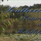 "Southern Nature & Wildlife" a Calming Meditation Video DVD