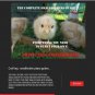 HOW TO RAISE CHICKENS  DUCKS + DIY COOP PLANS Hatching Poultry Homestead Prepper