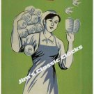North Vietnamese Propaganda Woman w. Doves Poster-Free US Ship-Vietnam
