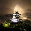 Beautiful Gifu Castle, Japan 13 x 18 inch Full Color Poster-Free US Ship