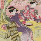 1840 Beautiful Japanese Cherry Blossoms in Garden Palace Garden FullColor Poster