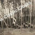Japanese Soldiers Sneak Through A Bamboo Forest, China, February 1932 Poster