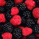 All Natural Blackberry Raspberry Scented Shampoo 2 Oz