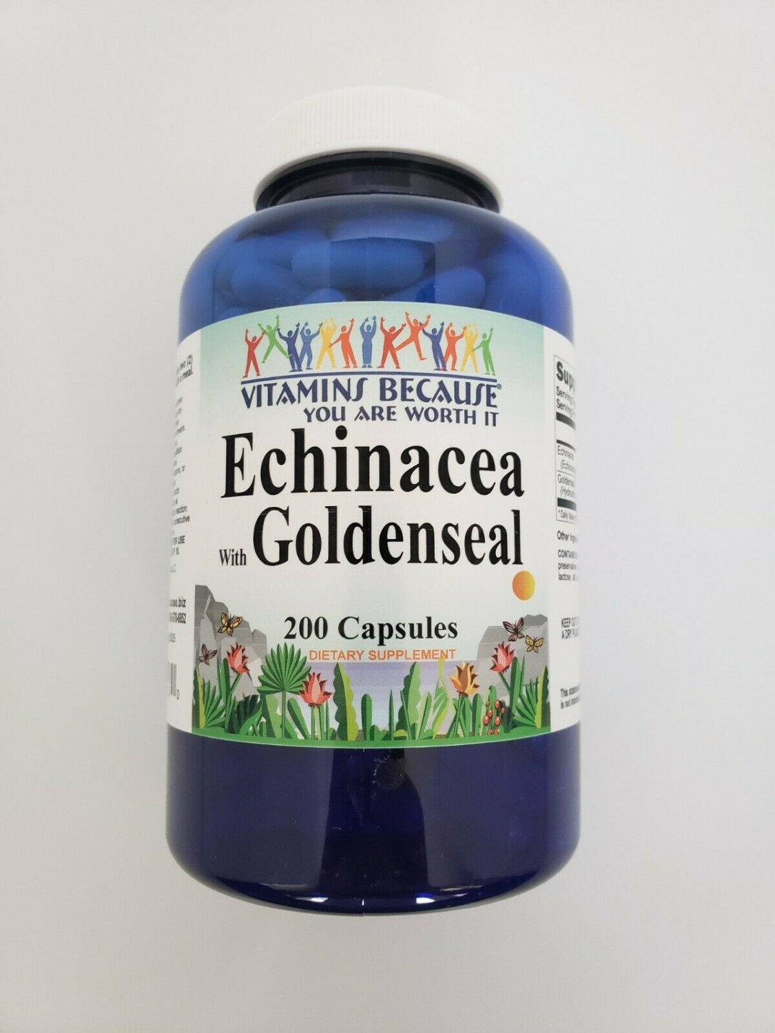 Vitamins Because Echinacea with Goldenseal 450 mg 200 Capsules