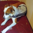 Pampered Pooch Dog Coat Black and White Toile