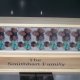 Personalized Dominoes