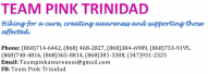TeamPinkAwareness