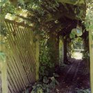 The Arbor