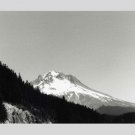 Mt. Hood Oregon