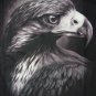 NWT American Bald Eagle Motorcycle / Biker Men T-Shirt size XL