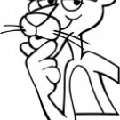 Pink Panther 1