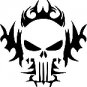 The Punisher 3