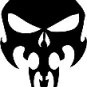 The Punisher 8
