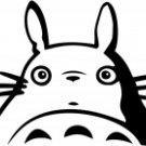 Totoro Anime 7