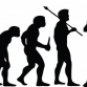 Evolution of Baseball