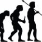 Evolution of Base Player