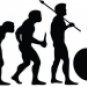 Evolution of Bicycle Racing