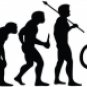 Evolution of BMX