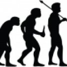 Evolution of Bowling