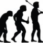 Evolution of Bowling