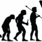 Evolution of Boxing