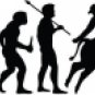 Evolution of Bull Riding
