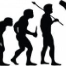 Evolution of Cliff Diving