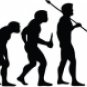 Evolution of Country Dancing