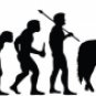 Evolution of Cowboy 2