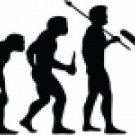 Evolution of Cricket