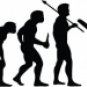 Evolution of Cricket