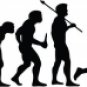 Evolution of Cross Country Running