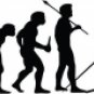 Evolution of Cross Country Skiing