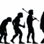 Evolution of Duck Hunting