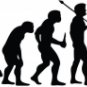 Evolution of Firefighter