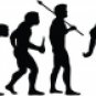 Evolution of Frisbee