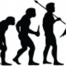 Evolution of Geisha