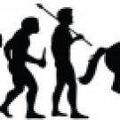 Evolution of Horse Racing