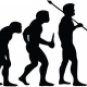 Evolution of Lacrosse