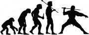 Evolution of Ninja
