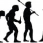 Evolution of Ninja