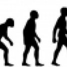 Evolution of Paddleboarding 2
