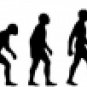 Evolution of Paddleboarding 2