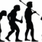 Evolution of Paintball