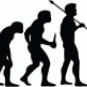 Evolution of Platform Diving