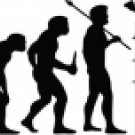 Evolution of Pole Vaulting