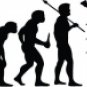 Evolution of Pole Vaulting